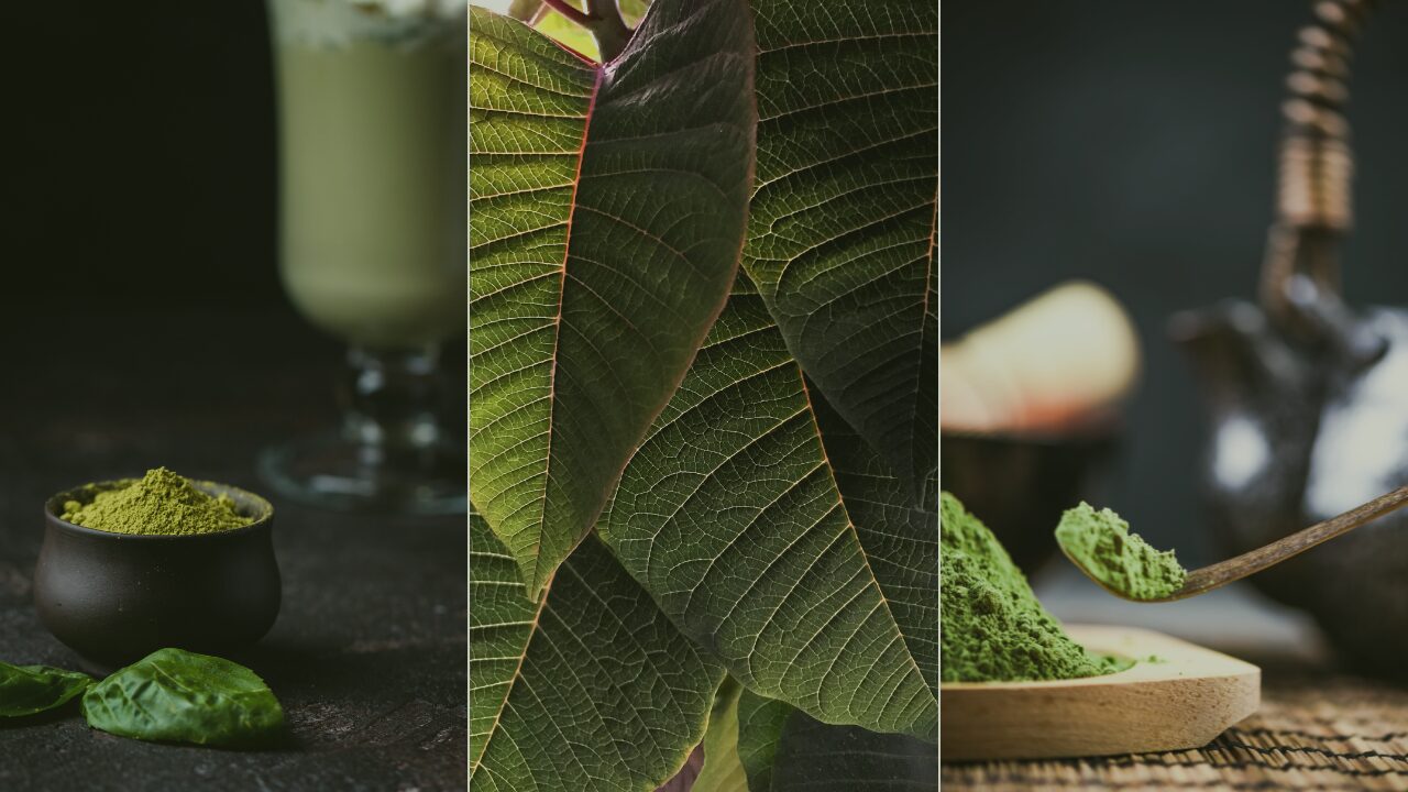 Decorate blog post image for the topic: can you overdose on kratom?