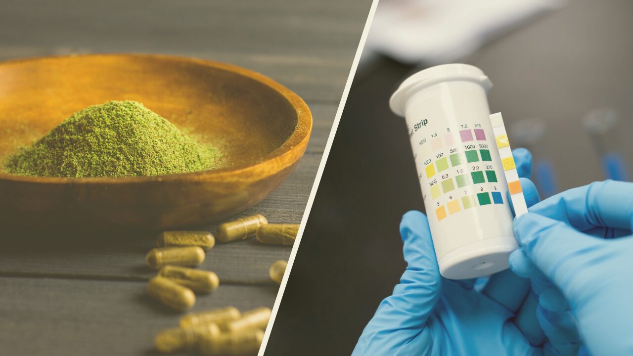 decorative image for topic: how long does kratom stay in your system