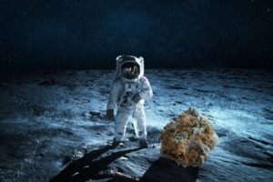 Astronaut on the moon with a marijuana moon rock